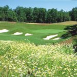 Stonehouse Golf Packages