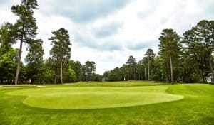 Blue Heron Golf Course at Fords Colony
