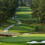 The Gold Course