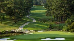 The Gold Course