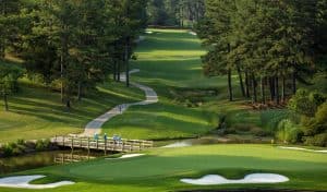 Looking for a Great Golf Getaway in Williamsburg? 1 The Gold Course