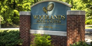 Woodlands Road Sign scaled