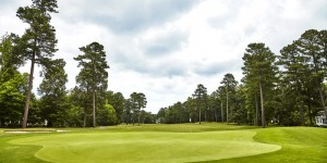 Blue Heron Course at Fords Colony