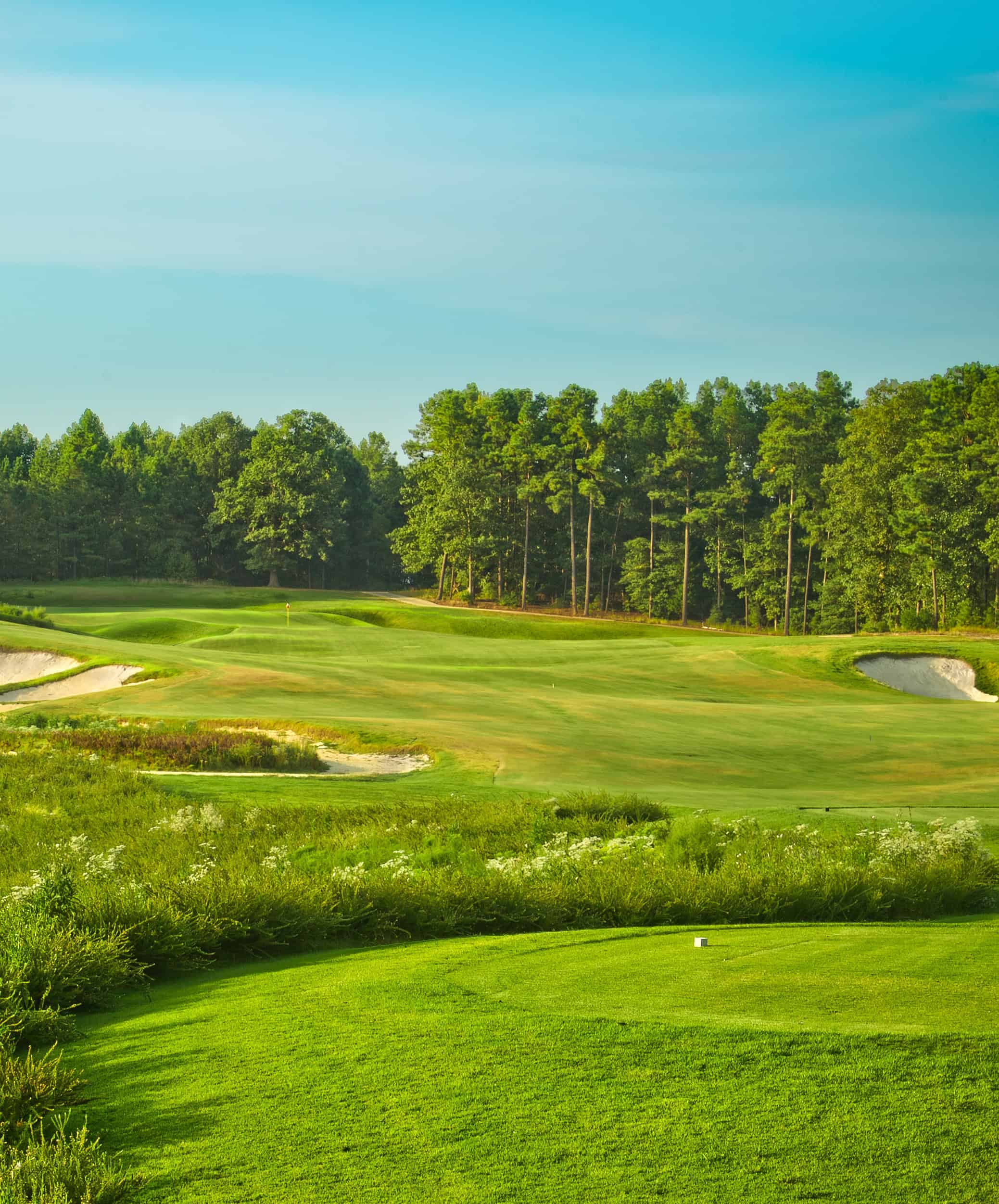 Royal New Kent Golf Club 2 Royal New Kent Golf Club